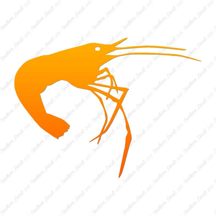 Shrimp Prawn