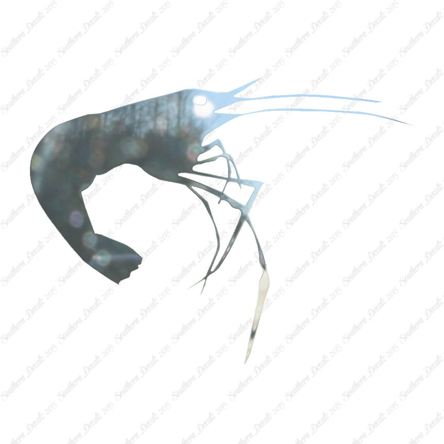 Shrimp Prawn