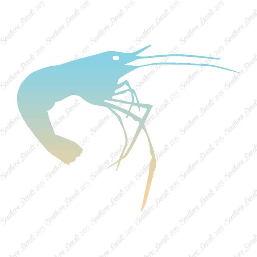 Shrimp Prawn