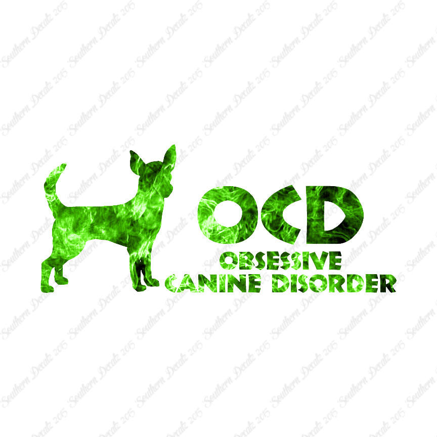 OCD Obsessive Canine Disorder