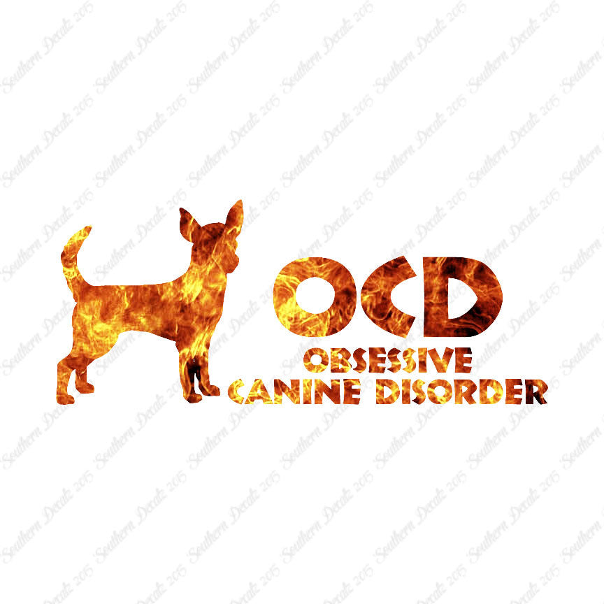 OCD Obsessive Canine Disorder