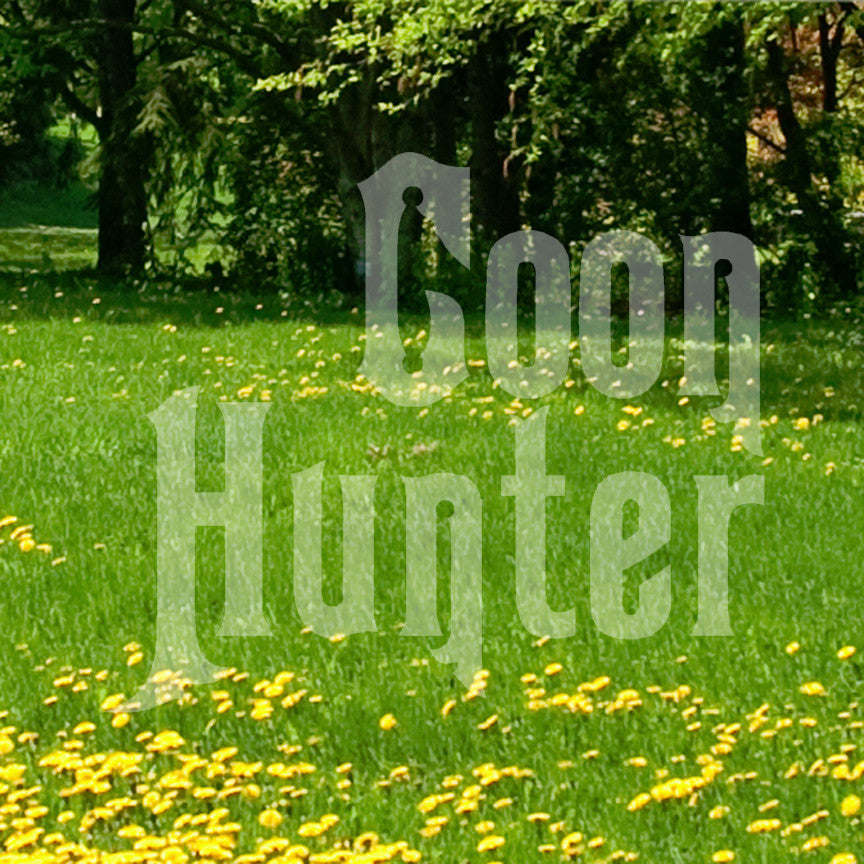 Coon Hunter Hunting