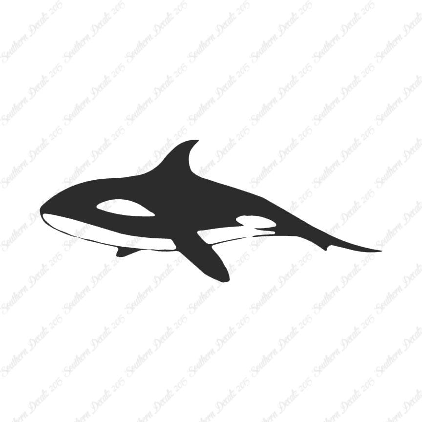 Orca Killer Whale
