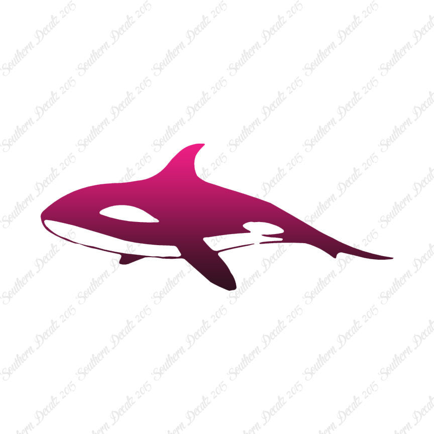 Orca Killer Whale