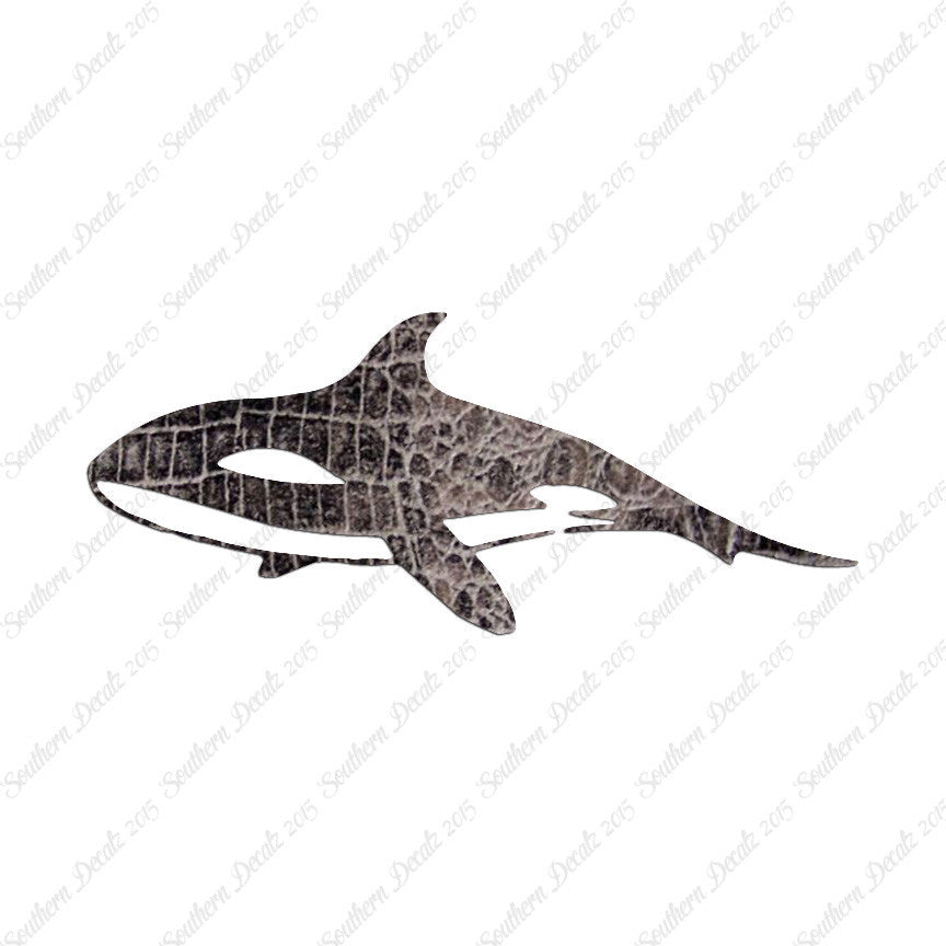 Orca Killer Whale