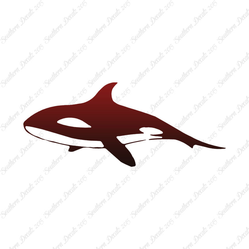 Orca Killer Whale