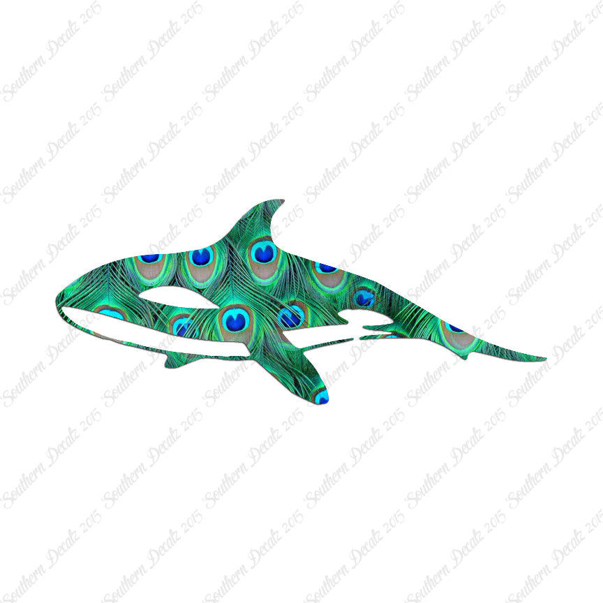 Orca Killer Whale