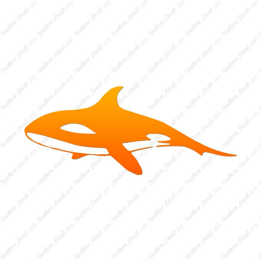Orca Killer Whale