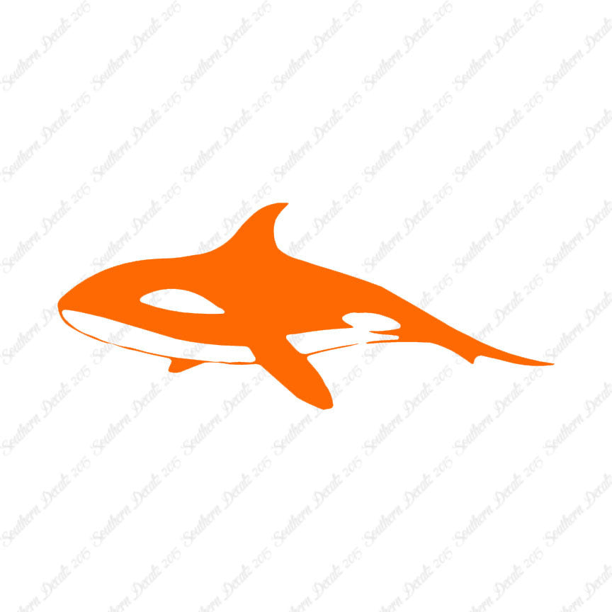 Orca Killer Whale