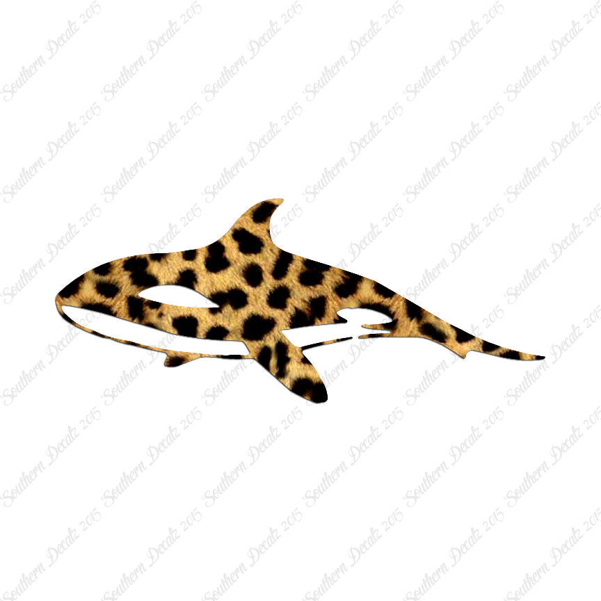 Orca Killer Whale