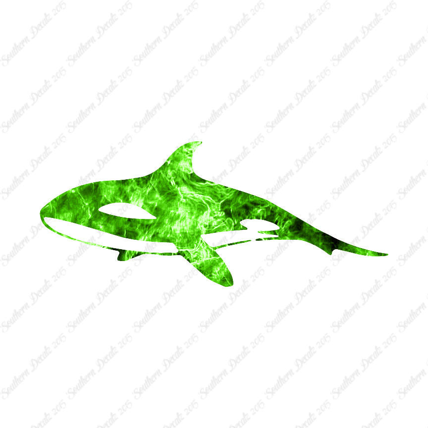 Orca Killer Whale