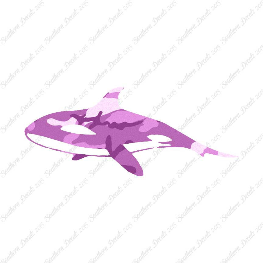 Orca Killer Whale