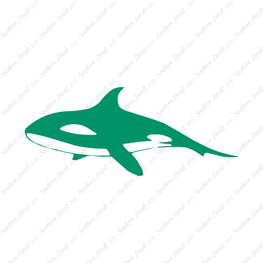 Orca Killer Whale