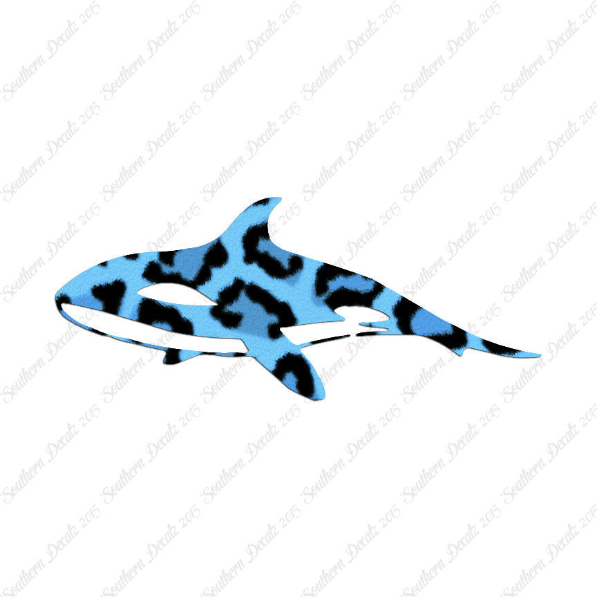 Orca Killer Whale