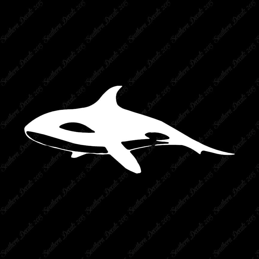 Orca Killer Whale