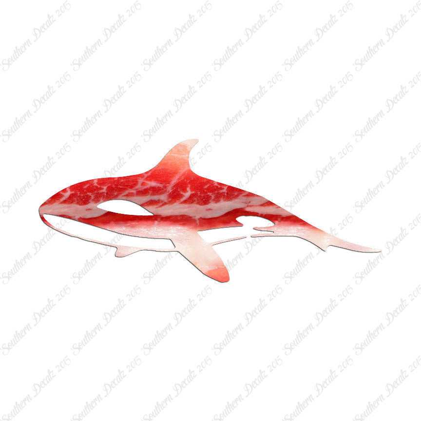 Orca Killer Whale