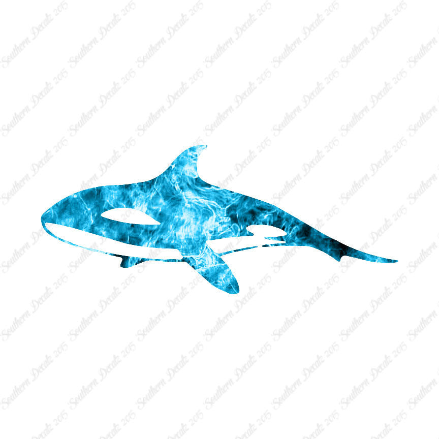 Orca Killer Whale