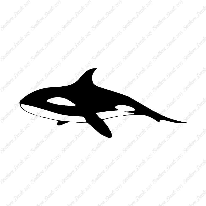 Orca Killer Whale