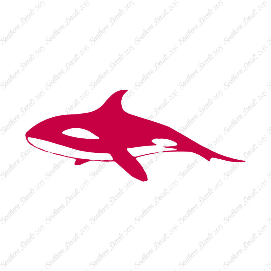 Orca Killer Whale