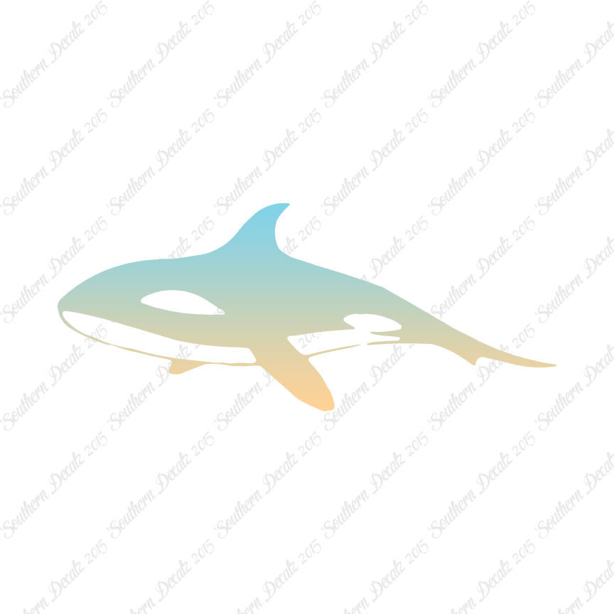 Orca Killer Whale