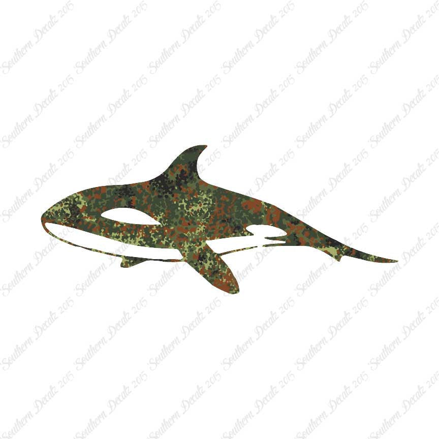 Orca Killer Whale