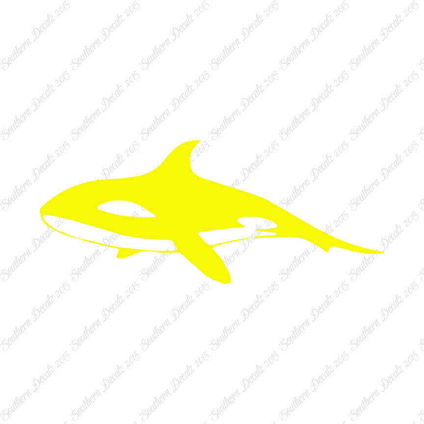 Orca Killer Whale