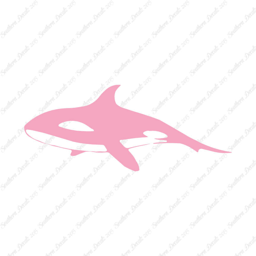 Orca Killer Whale