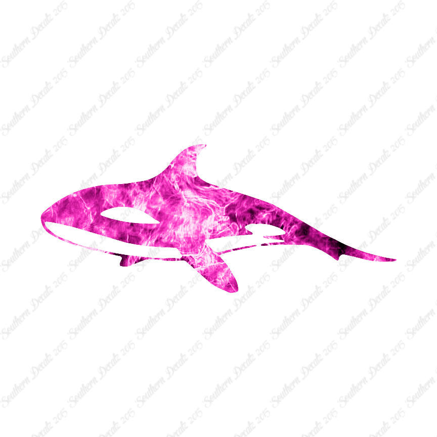 Orca Killer Whale