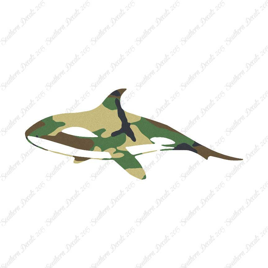 Orca Killer Whale
