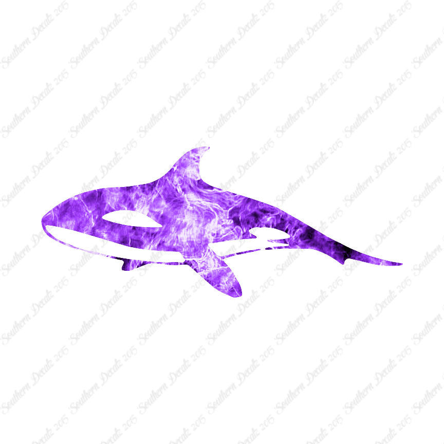 Orca Killer Whale