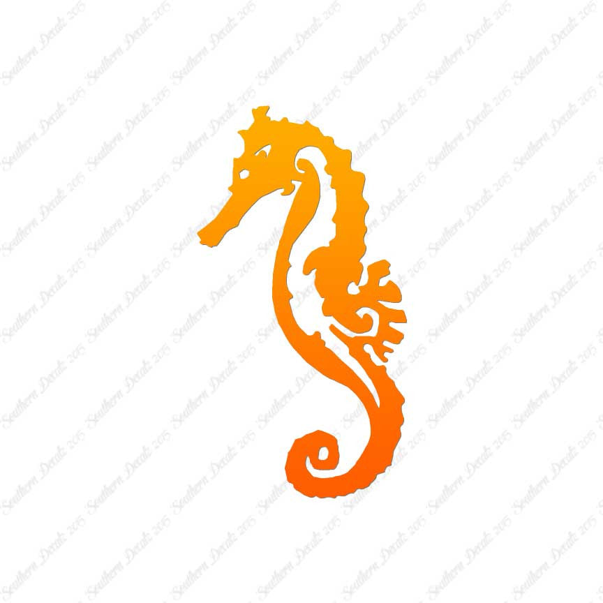 Sea Horse Seahorse