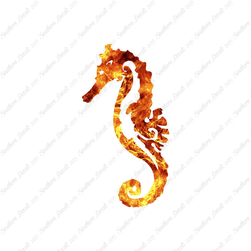 Sea Horse Seahorse