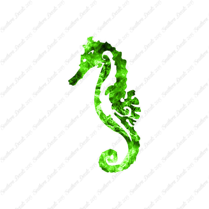 Sea Horse Seahorse