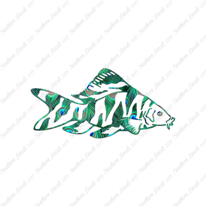 Zebra Loach Fish