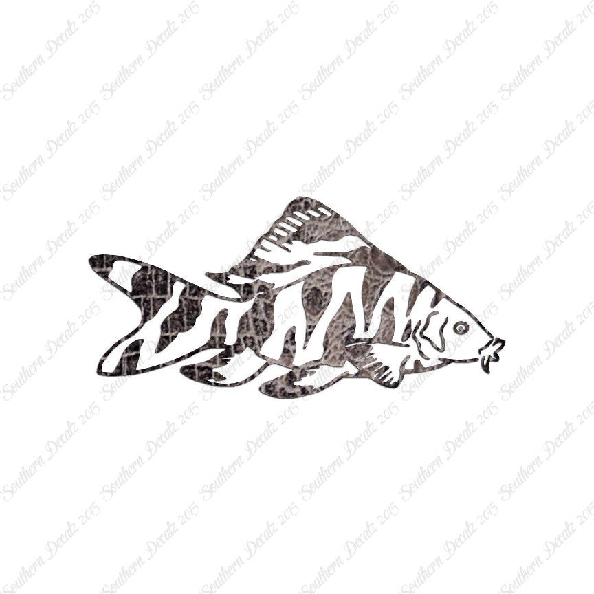 Zebra Loach Fish