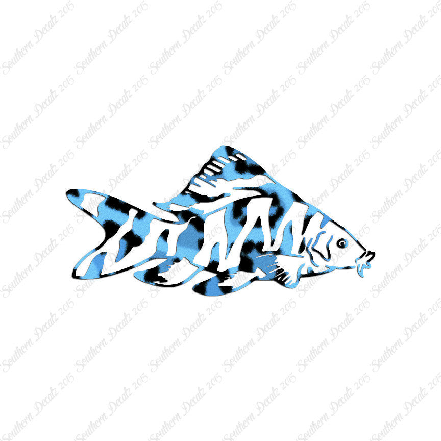 Zebra Loach Fish