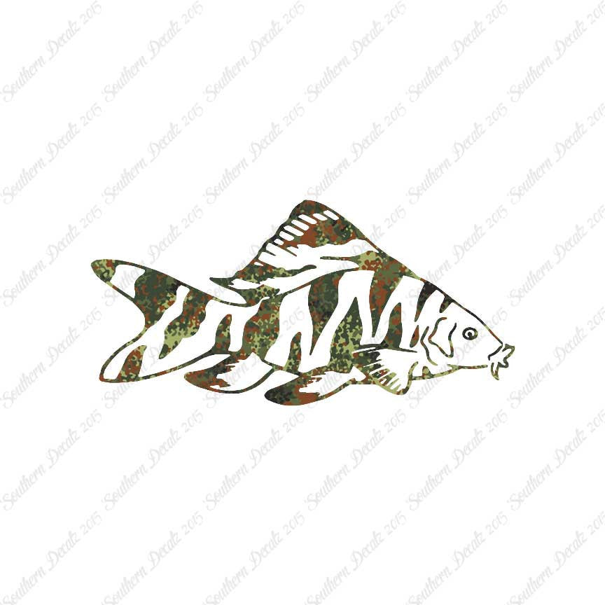 Zebra Loach Fish