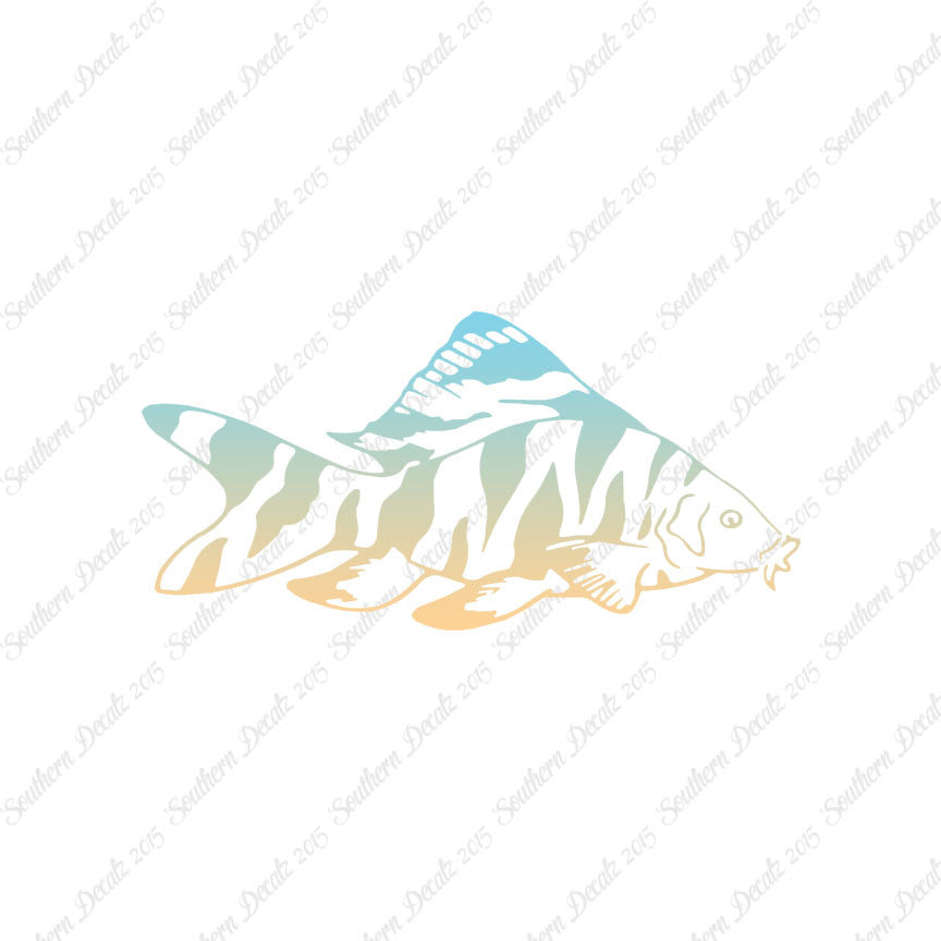 Zebra Loach Fish