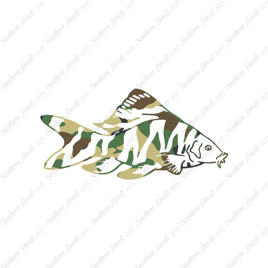 Zebra Loach Fish