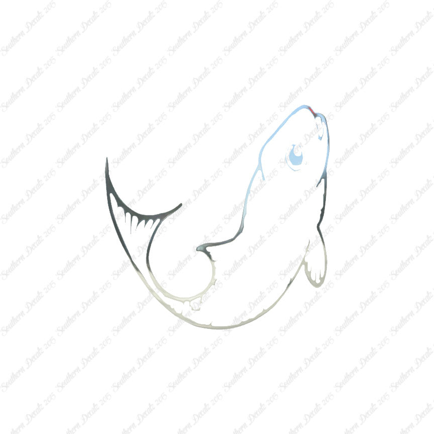 Cute Fish Minnow