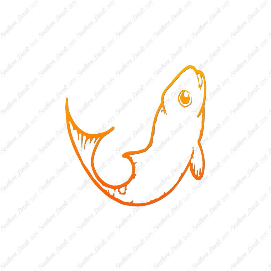 Cute Fish Minnow
