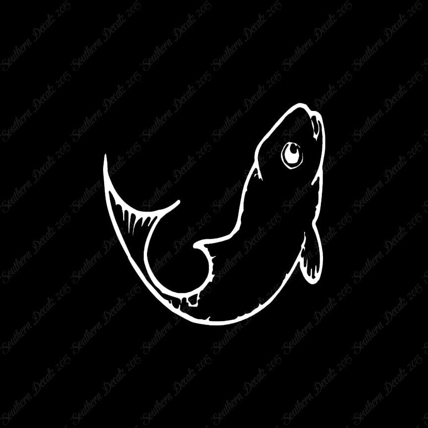 Cute Fish Minnow
