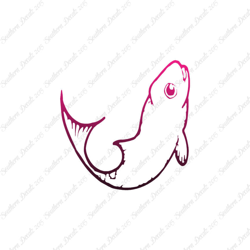 Cute Fish Minnow