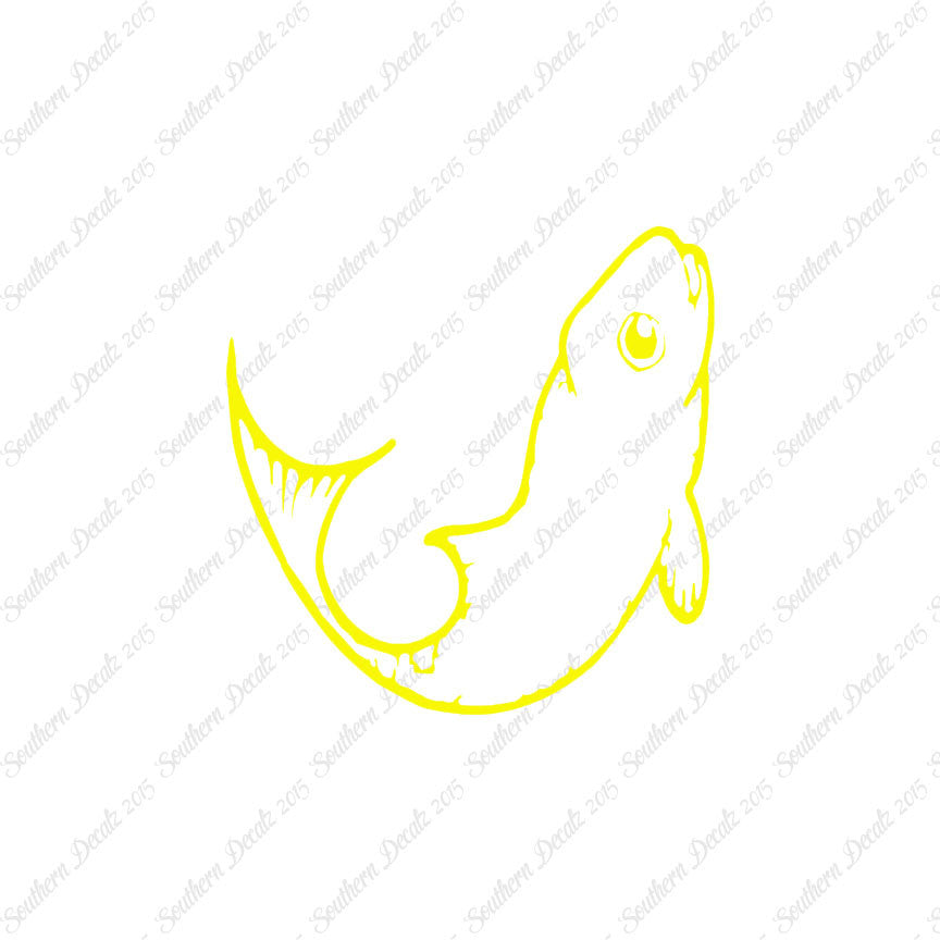 Cute Fish Minnow