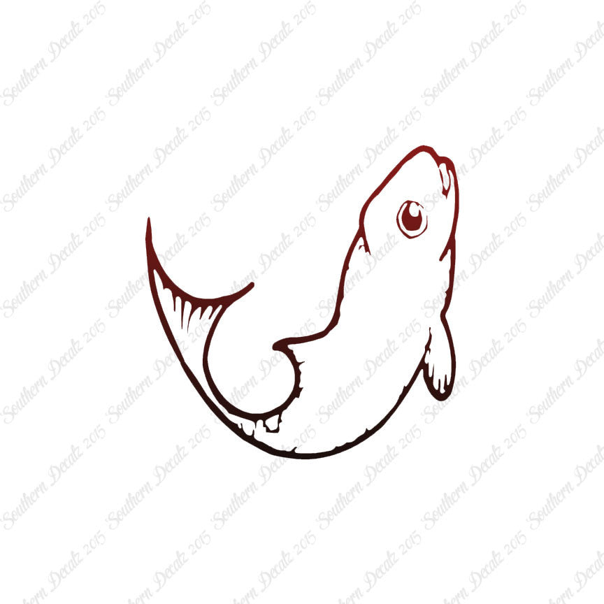 Cute Fish Minnow