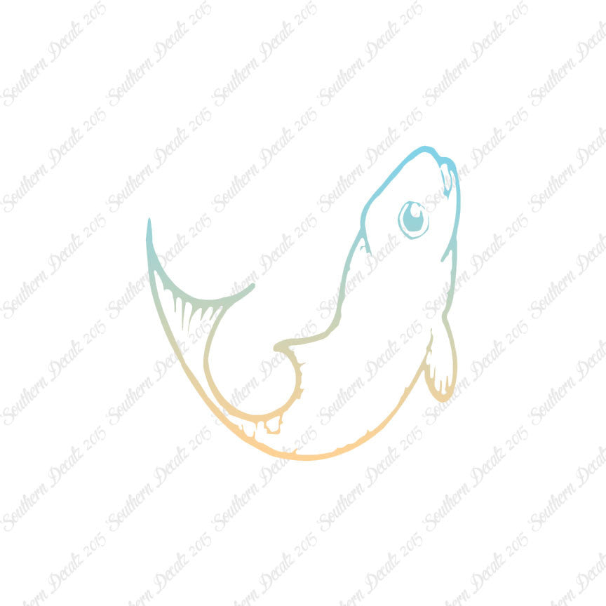 Cute Fish Minnow
