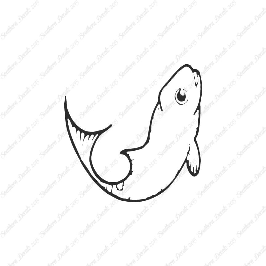 Cute Fish Minnow