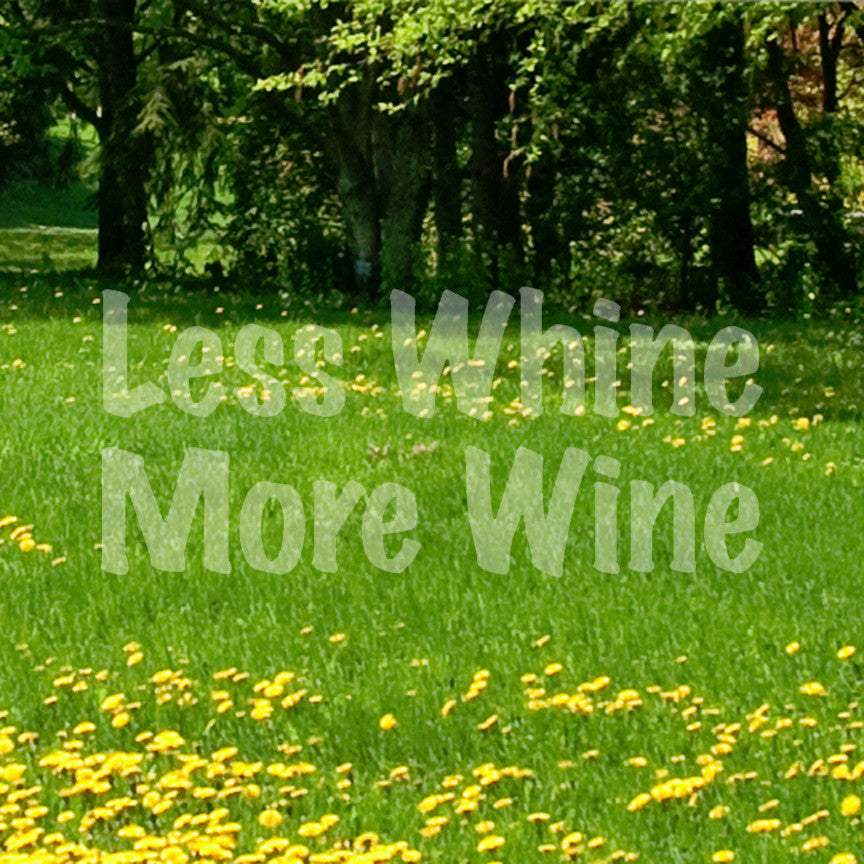 Less Whine More Wine