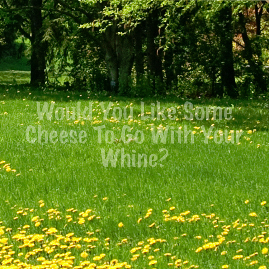 Cheese Go With Wine