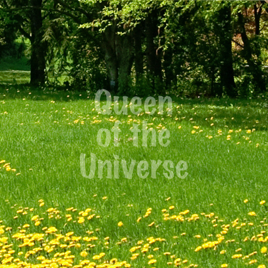 Queen Of The Universe